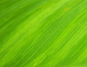 MERCURY AND LALKITAB REMEDIES